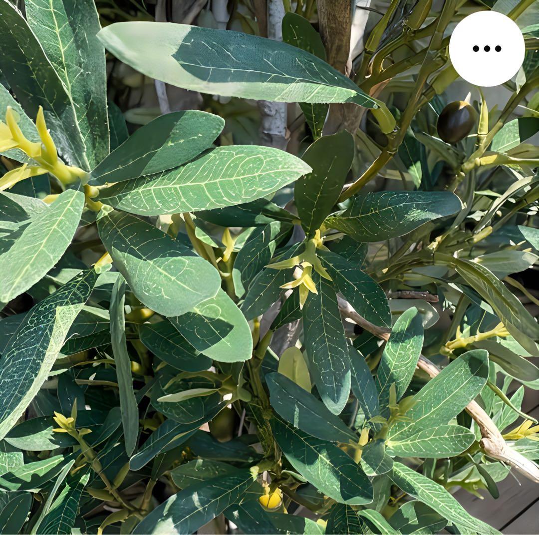 光触媒　人工観葉植物　ウォールグリーン　フェイクグリーン　オリーブtja