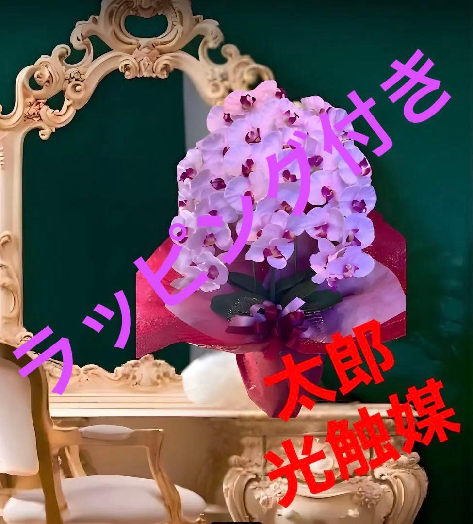 光触媒　人工観葉植物　ウォールグリーン　フェイクグリーン　胡蝶蘭p78