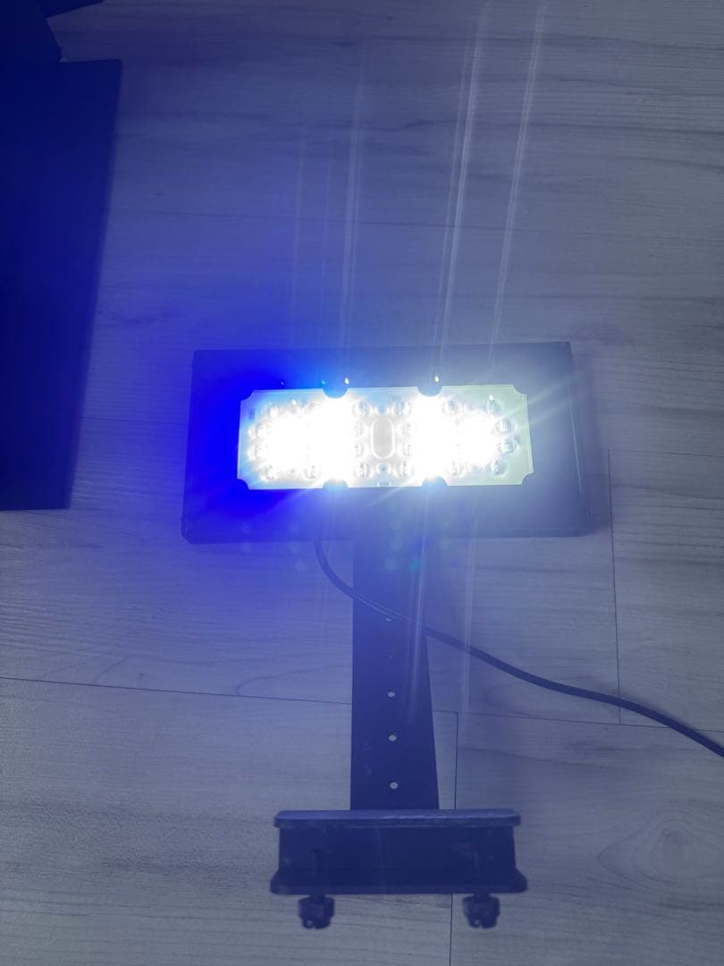 やっちゃん　Shell 水槽