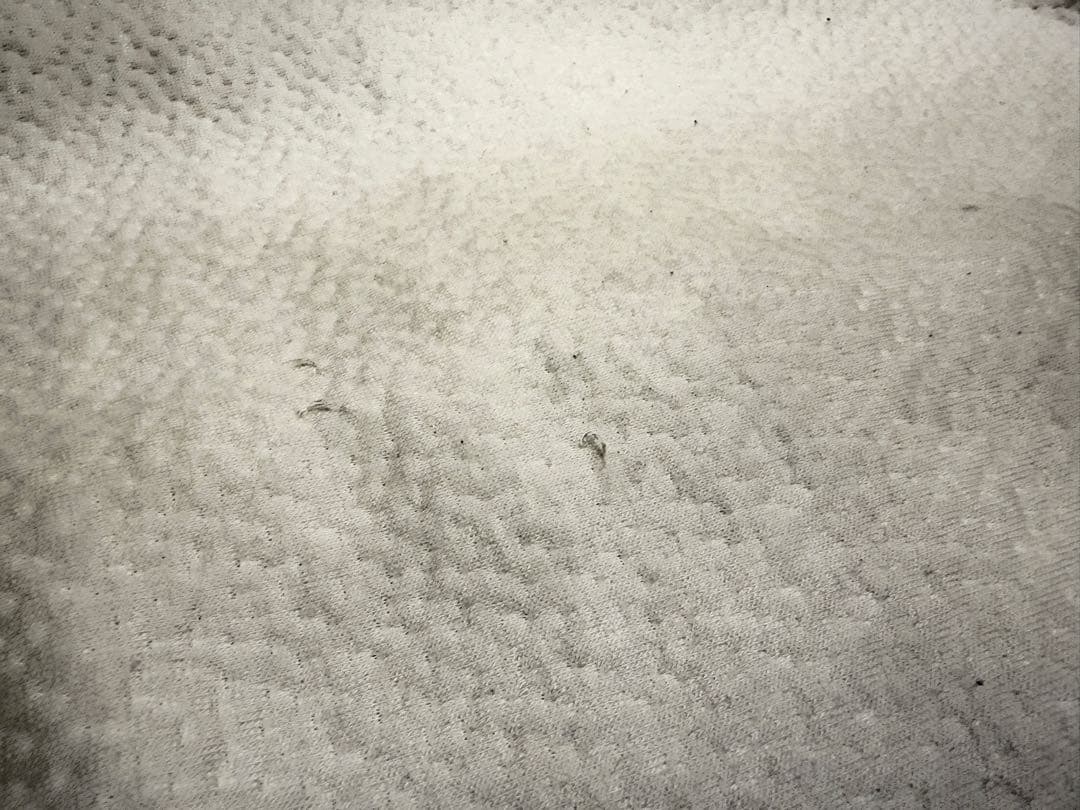 ヒツジのいらない枕 テンセル枕カバー付 調律