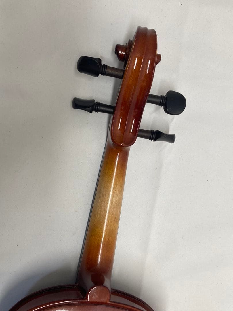 カルロ ジョルダーノ バイオリン vs-1 4/4