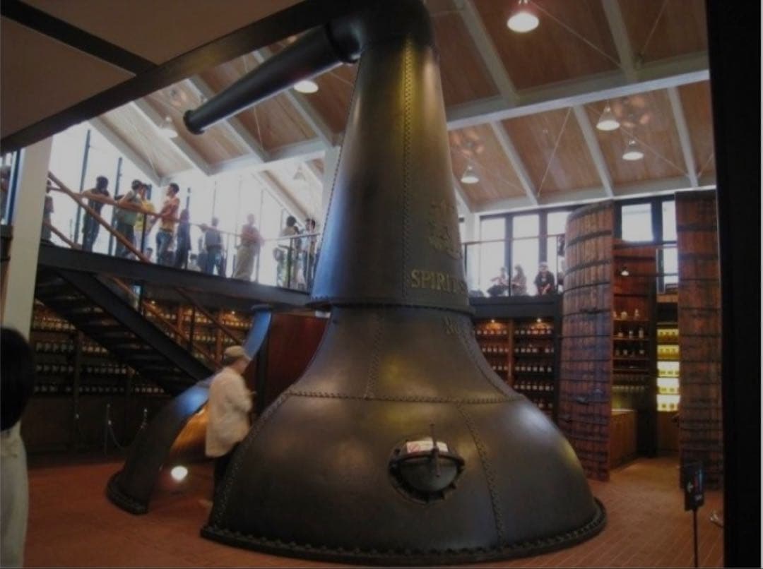 サントリー山崎シングルモルトウイスキー　10年350ml➕テースティンググラス