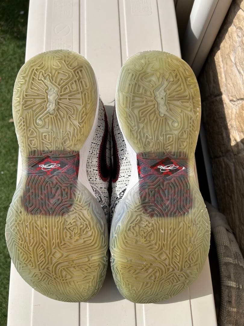 Nike LeBron 20 バスケットボールシューズ ホワイト/ゴールド