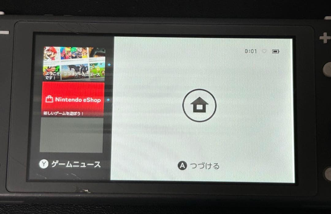 ［ジャンク品］Nintendo Switch Lite グレー