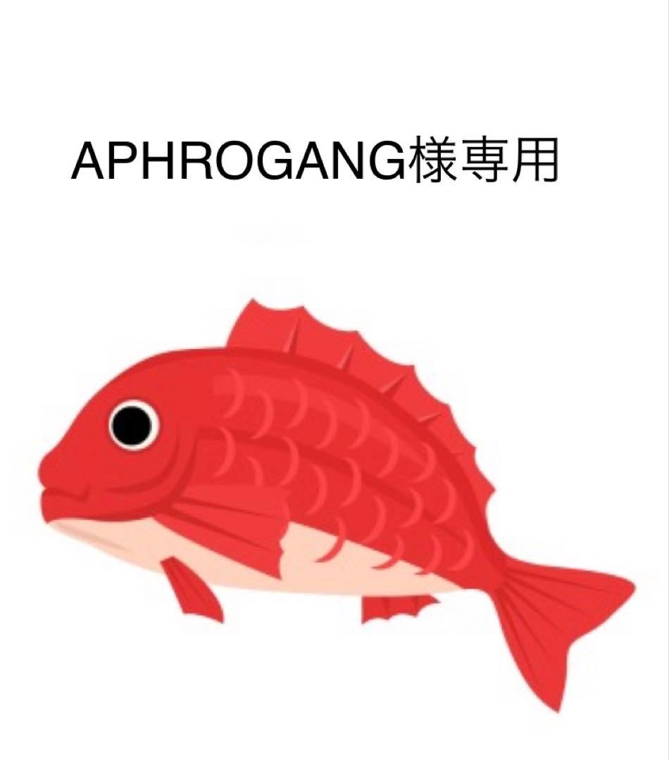 タイラバ　タングステン　APHROGANG