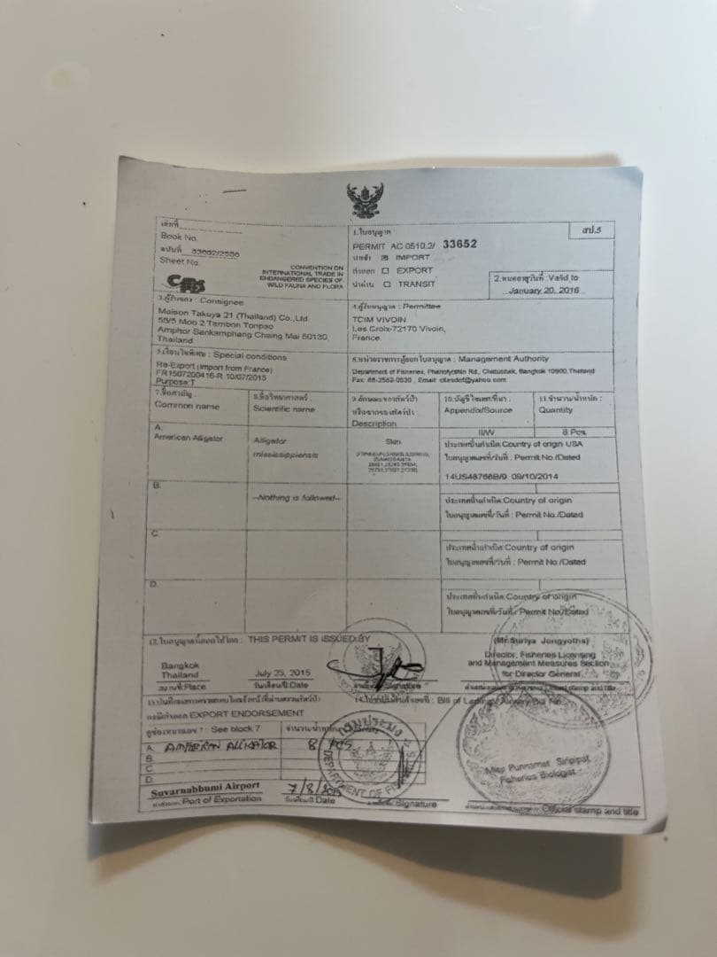 希少 メゾンタクヤ TT3 アリゲーター ケース