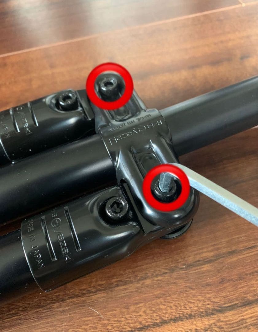 モニグロ　二股ポール　モーニンググローリーtc