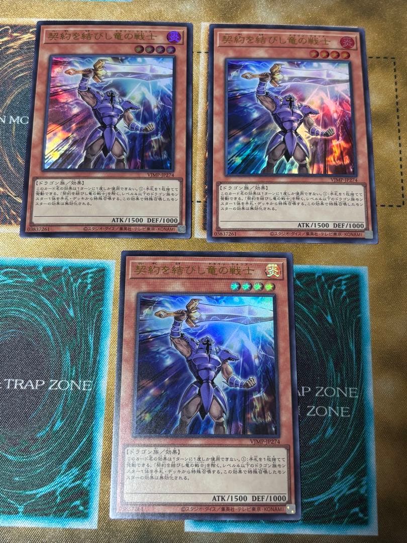 契約を結びし竜の戦士3枚セット
