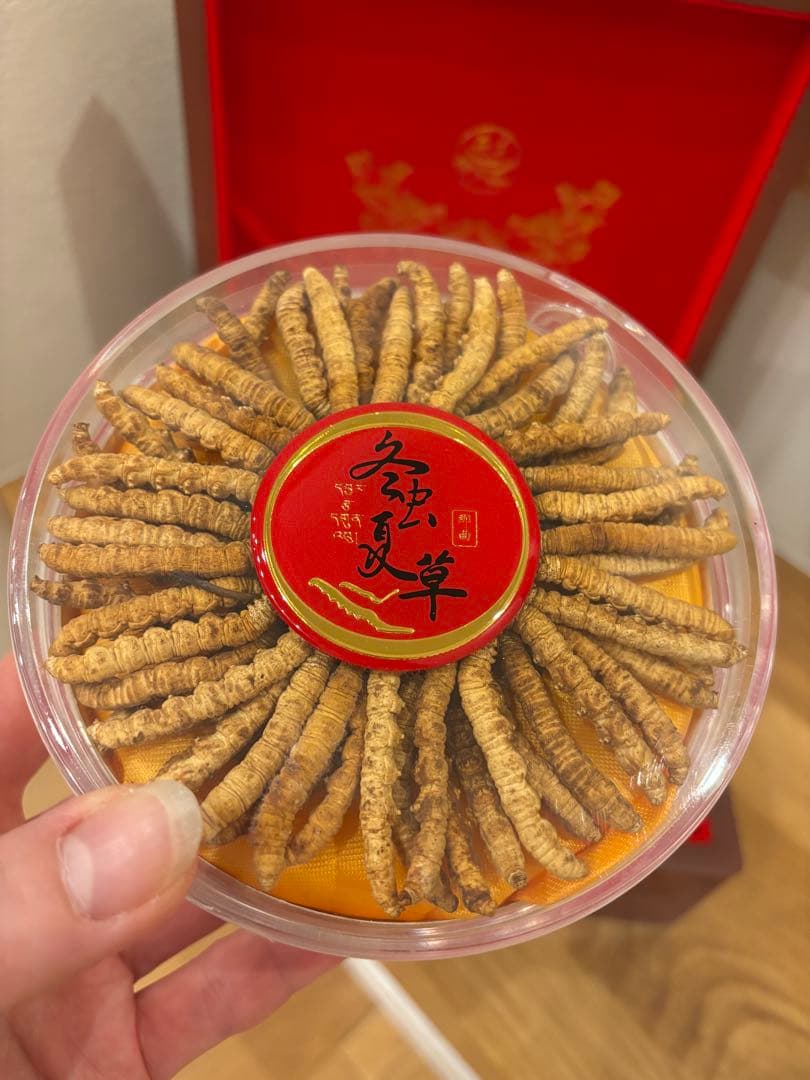 冬虫夏草