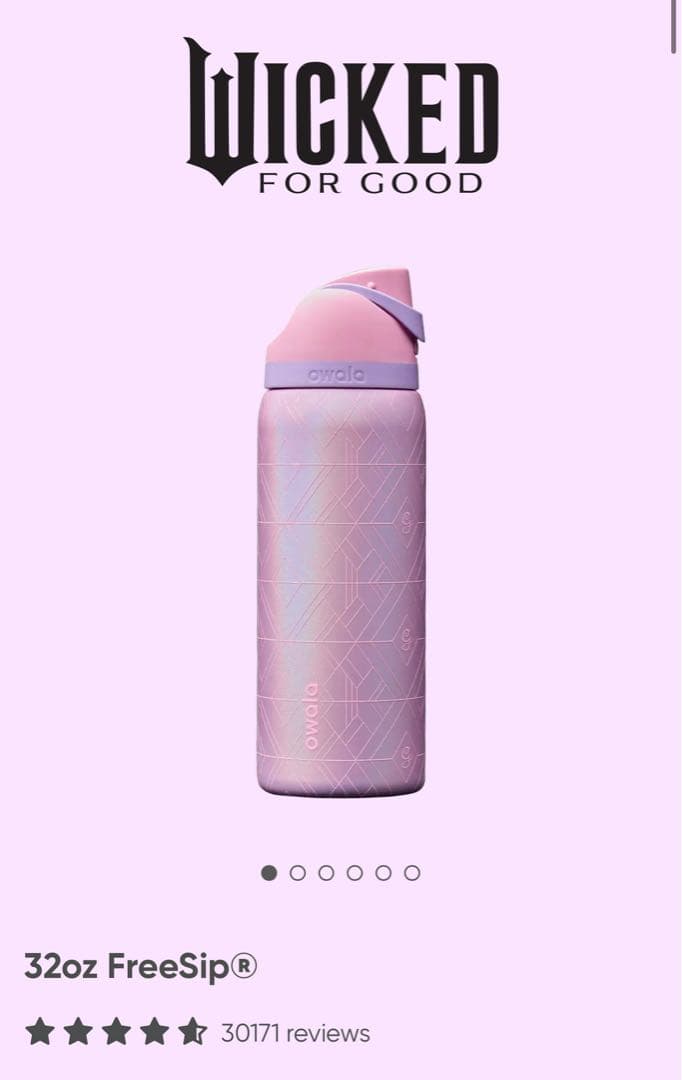 [日本未入] Owala限定 Wicked ウィキッド コラボ ウォーターボトル