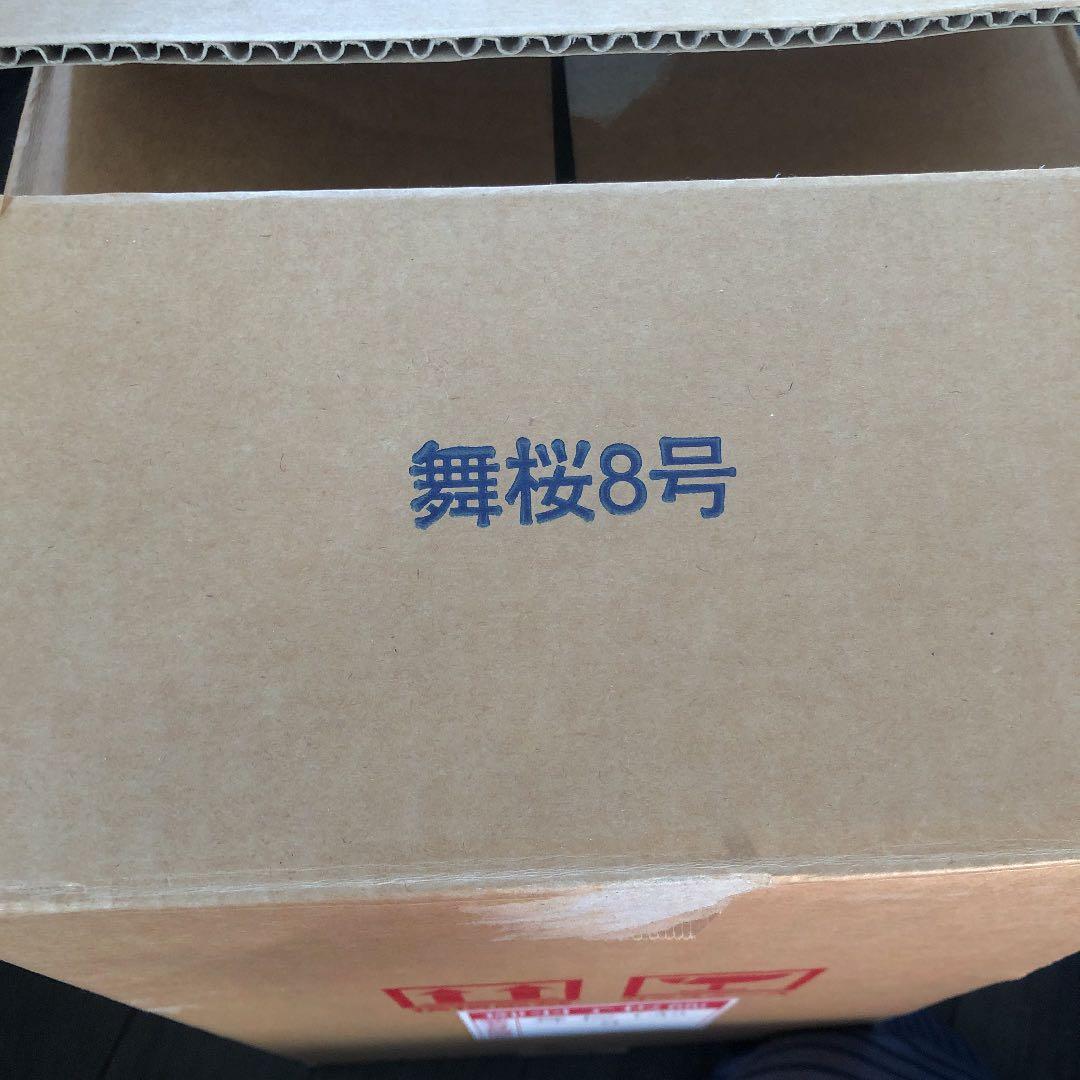 【新品】 正月飾り　羽子板　ケース入り　朱色