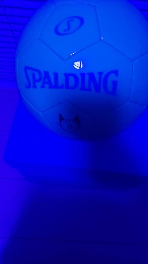 【美品】TIFFANY＆Co.スポルディング　サッカー5号