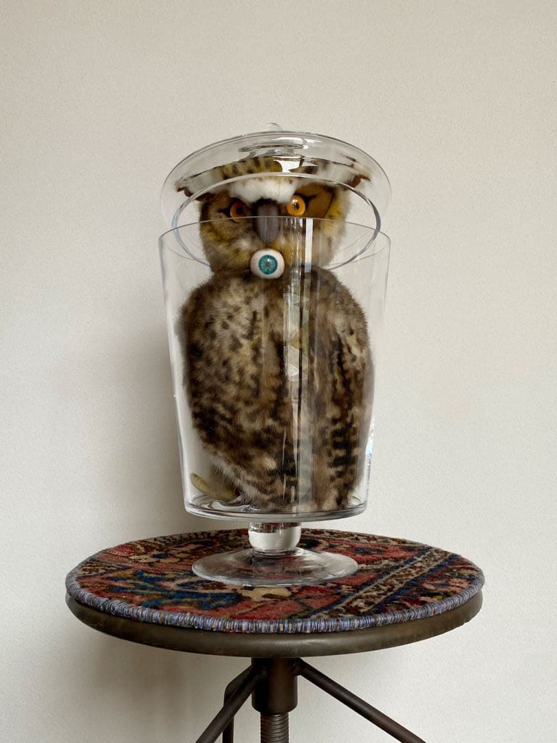 ビンテージ 花瓶 クリア 透明 コレクションケース ガラス フラワーベース