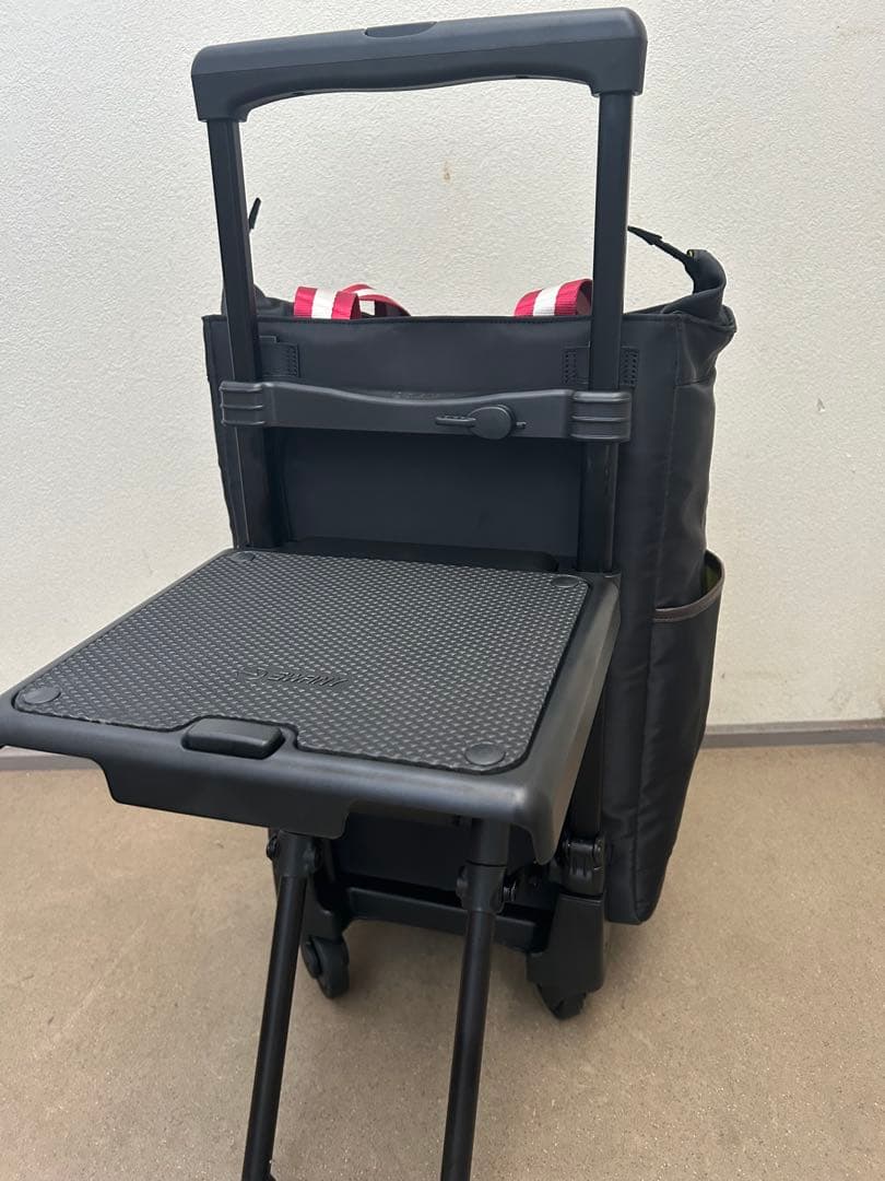 スワニーキャリーバッグイス付き