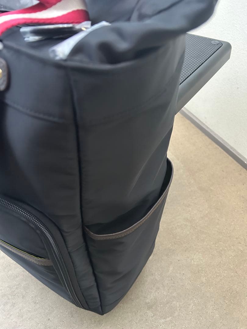 スワニーキャリーバッグイス付き