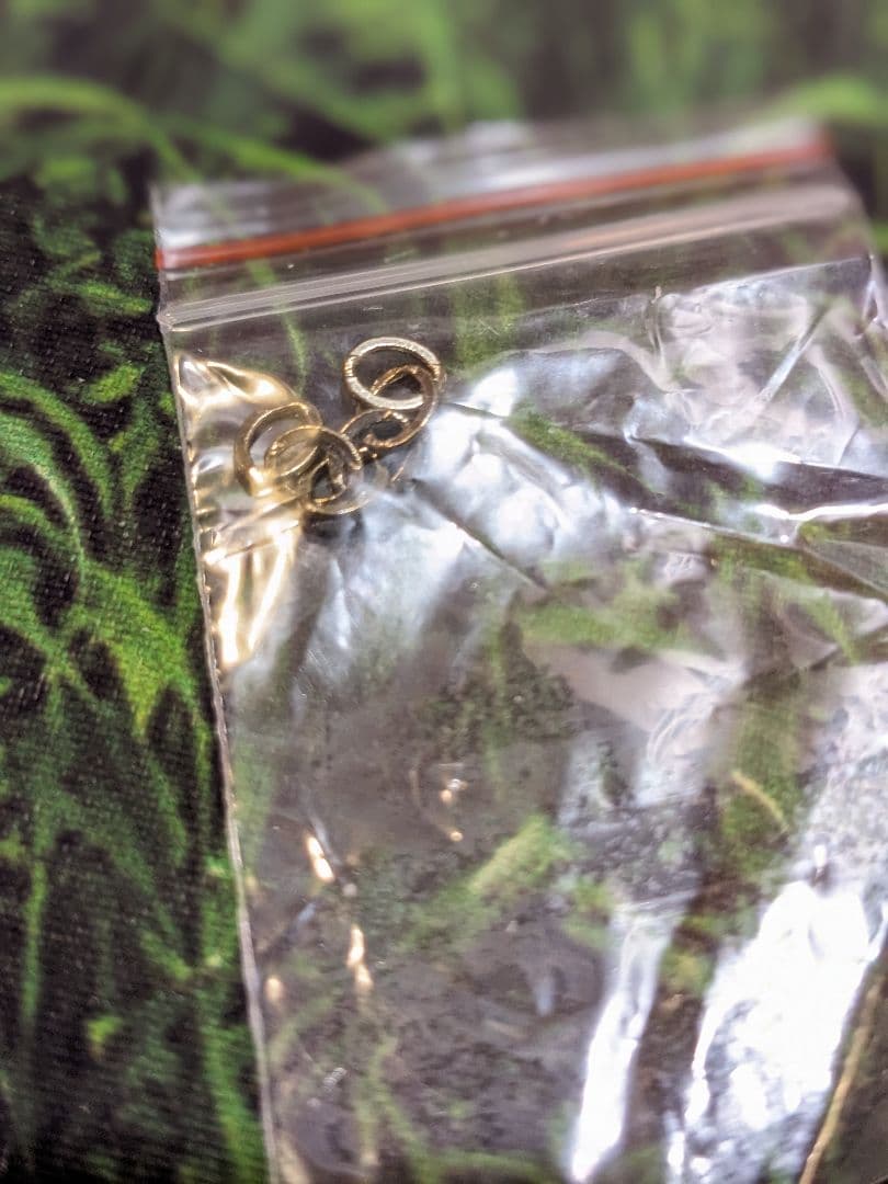 ディズニー　ショーケース　プレシャスモーメンツ　バースデーパレード　シンデレラ