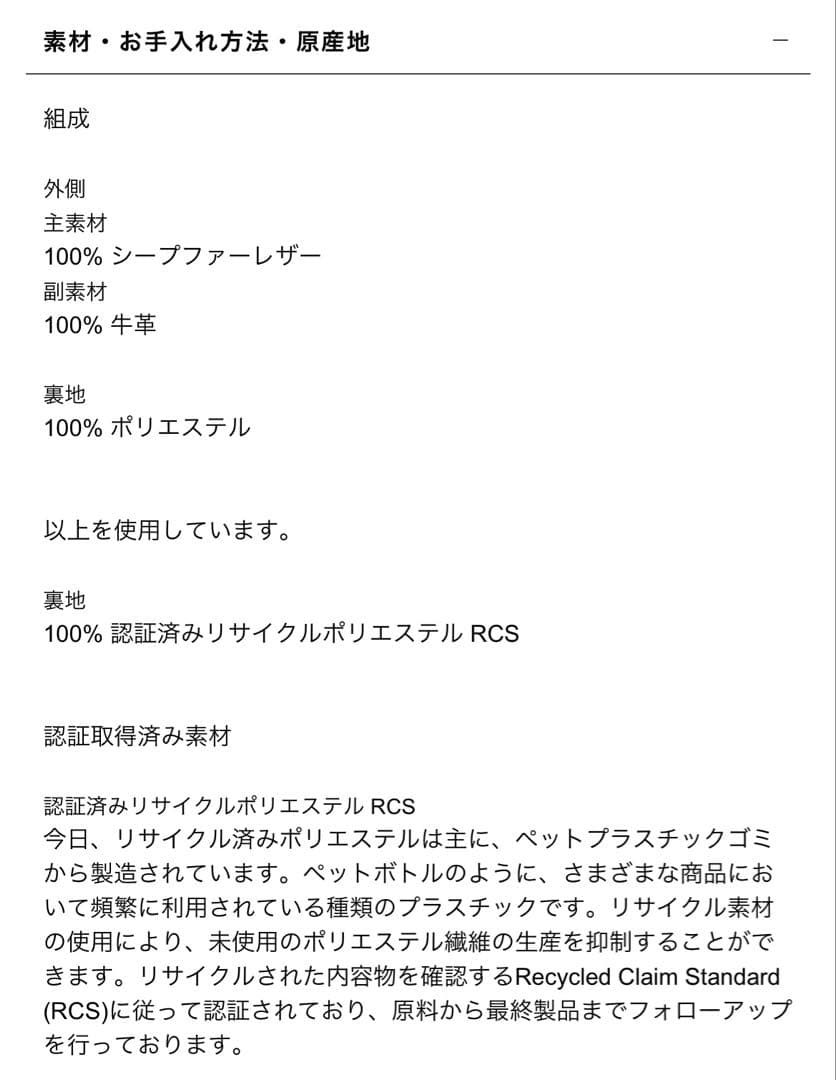 LUDOVIC DE SAINT SERNIN X ZARA トートバッグ