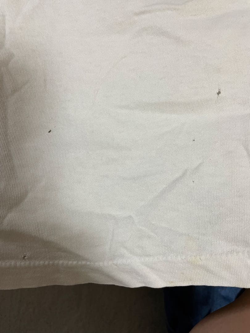 80'sオリジナル DOGTOWN ALBA