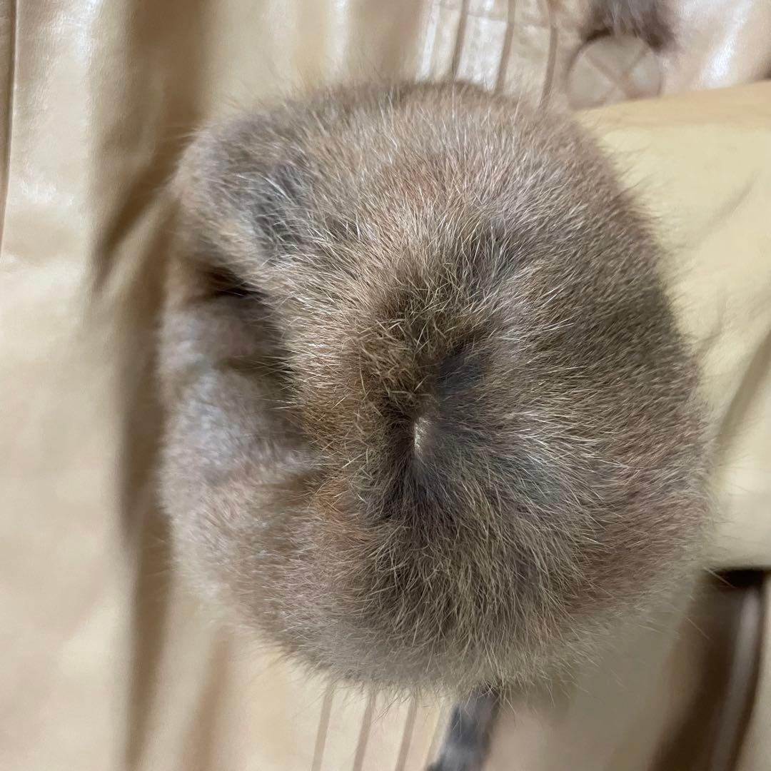 d*3様 美品 Jennifer Leonardi リバーシブル毛皮 ラムレザー