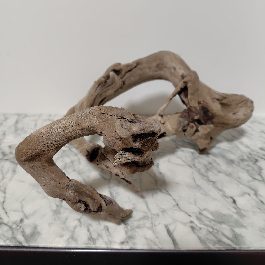 アク抜き済み流木【847】セール