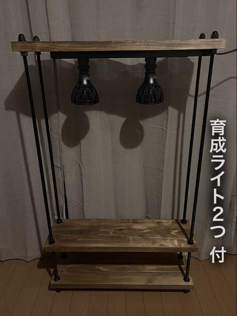 スターターセット 電球・ソケット付 植物育成棚 天然木製インダストリアルラック