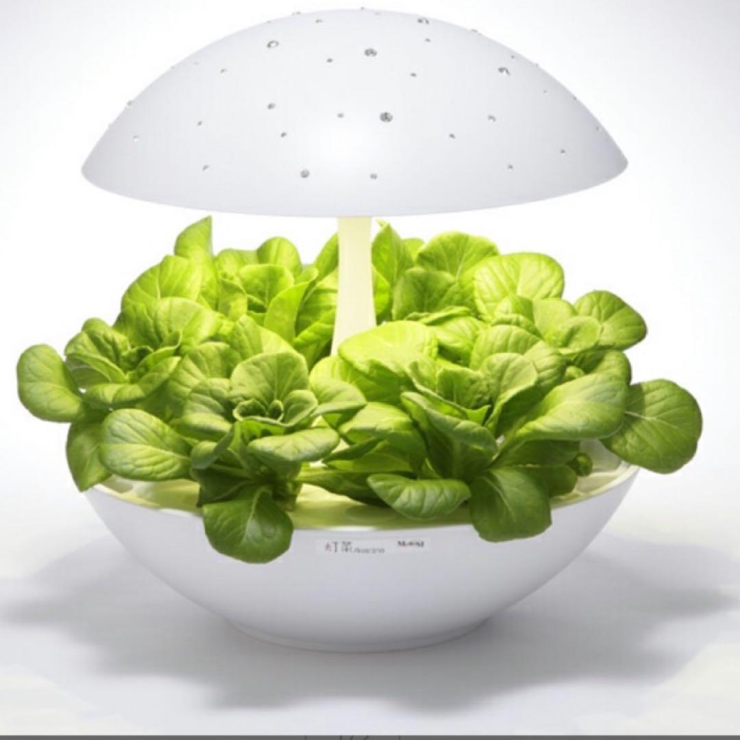 水耕栽培キット Akarina01 LED照明セット 家庭菜園　オリンピア照明