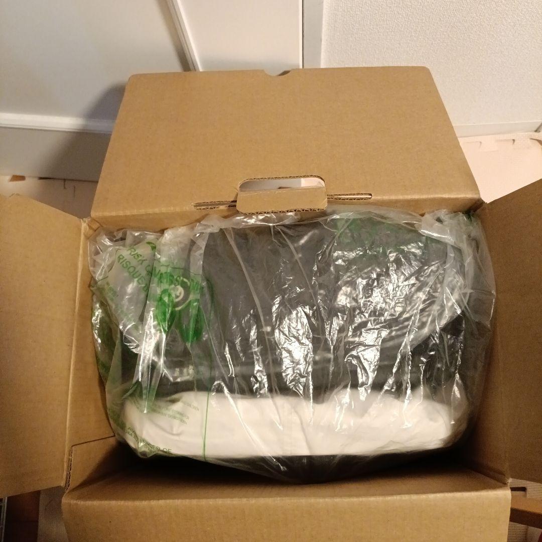 サイベックス　リベル　2024 キャンバスホワイト