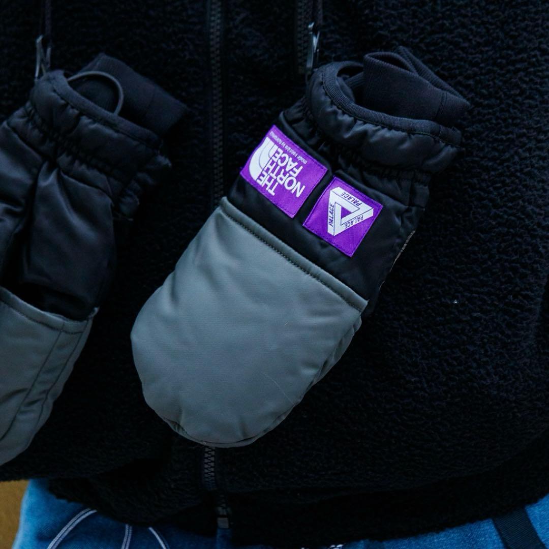 【PALACE × THE NORTH FACE】BACKPACK GREEN