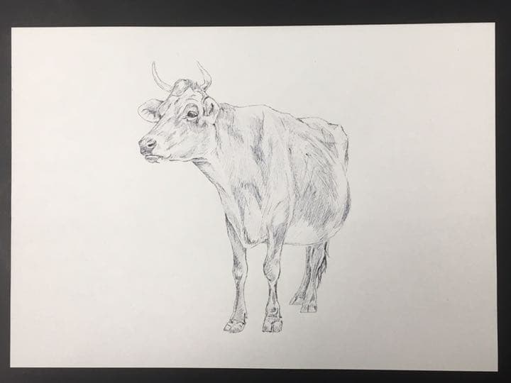 干支　前半　イラスト　6枚