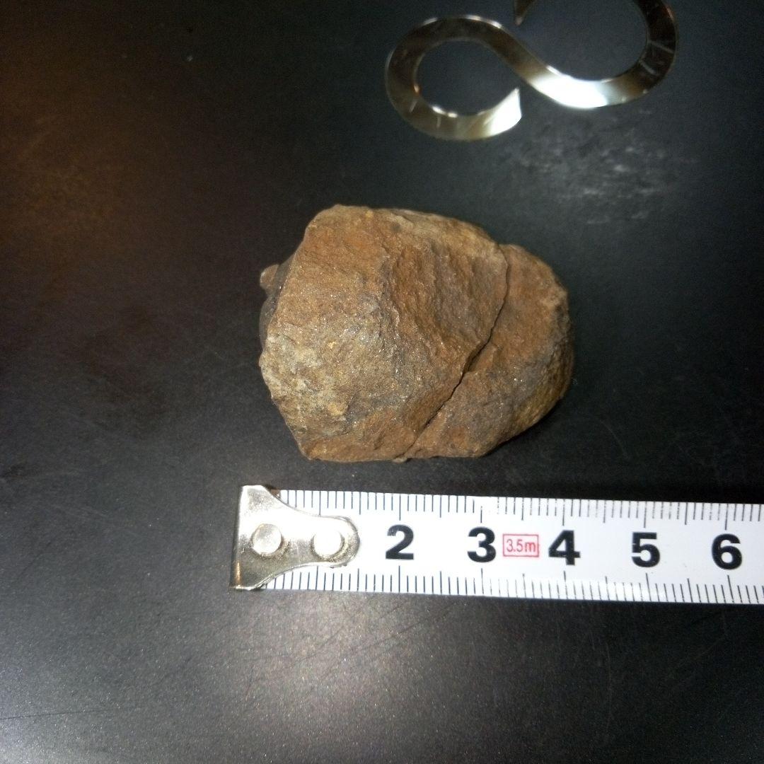 三葉虫　化石　fossil　ボリビア産　トライロバイト　Fossil番号②