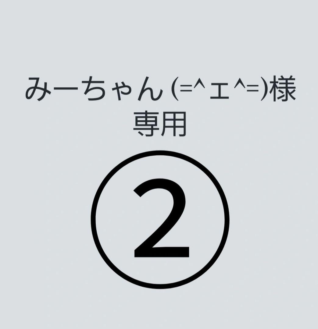 【みーちゃん (=^ェ^=)】ペットゲート②
