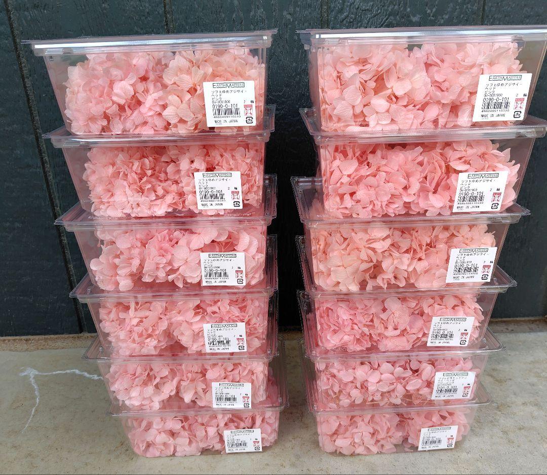 EARTH MATTERS プリザーブドアジサイ ピンク　12箱