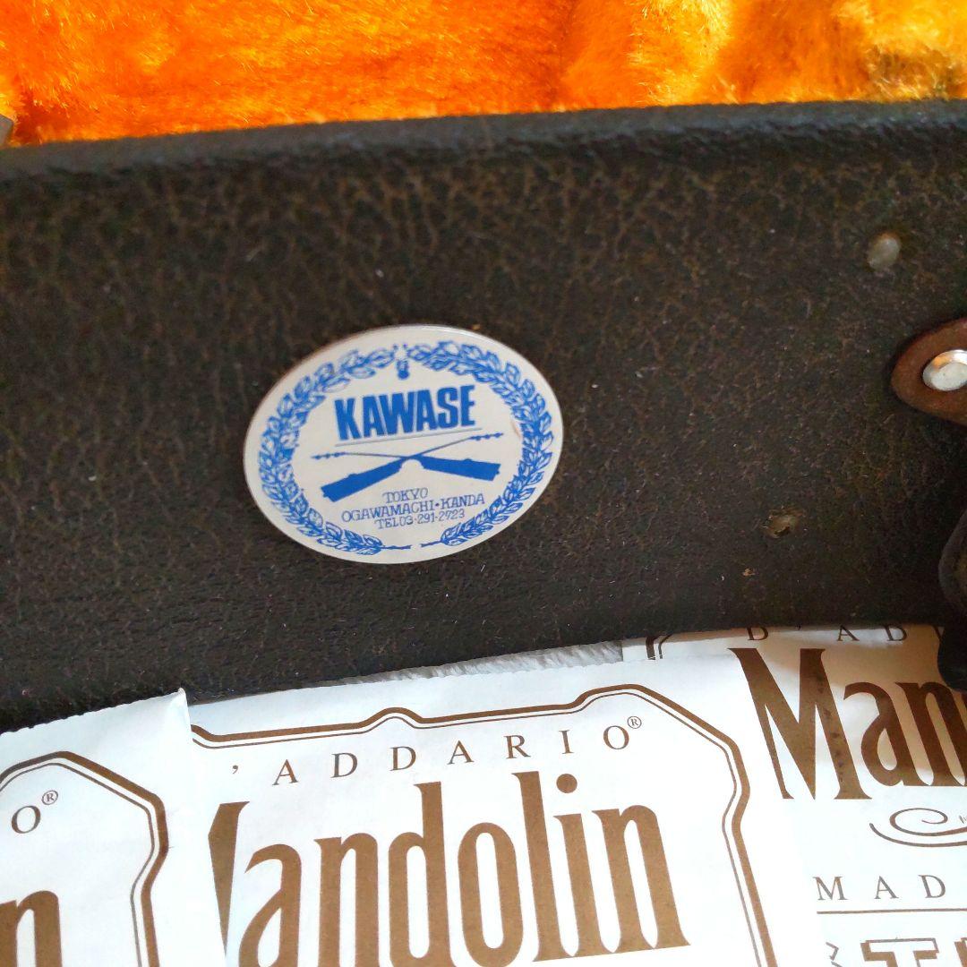 JUMBO 田原楽器　TAHARA　フラットマンドリン　弦楽器 ジャンボ