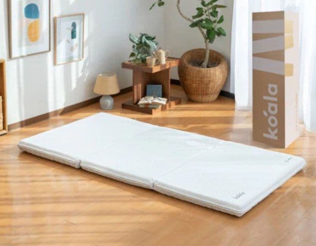 新品未使用コアラフトン OASIS