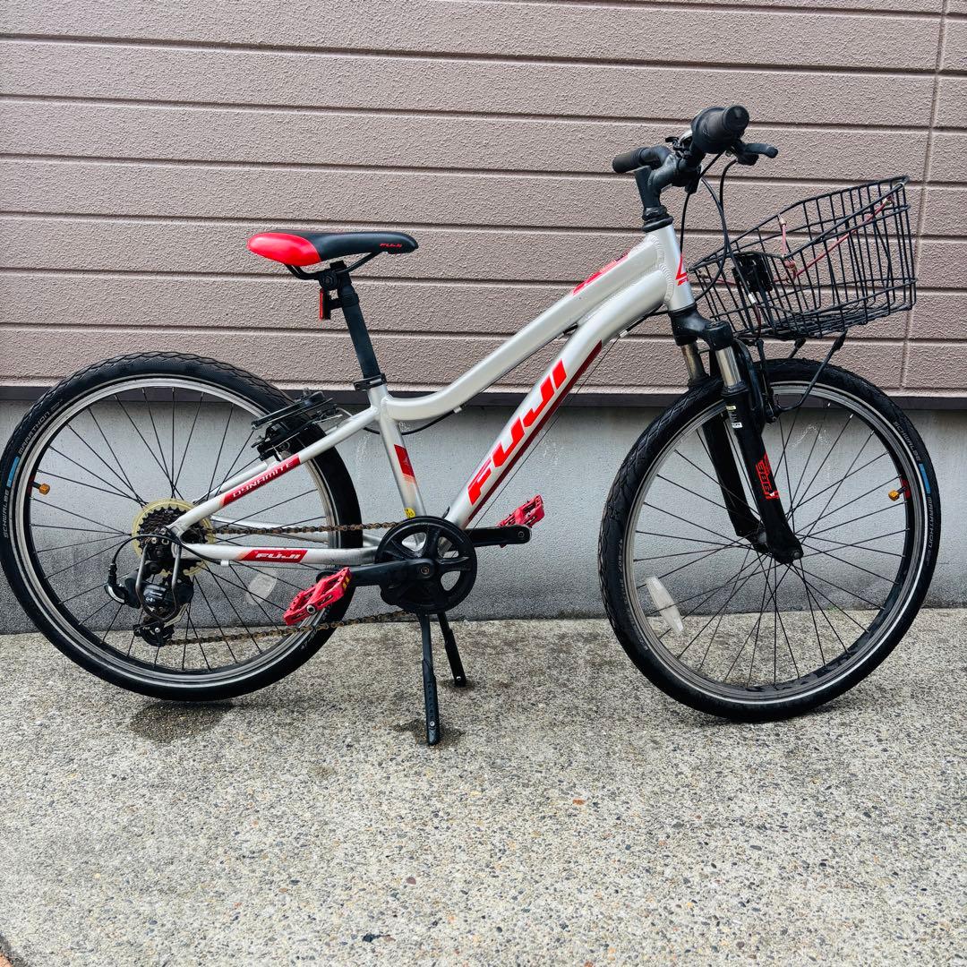 【直接取引】フジ Fuji dynamite 24 シュワルベ　マラソン付き