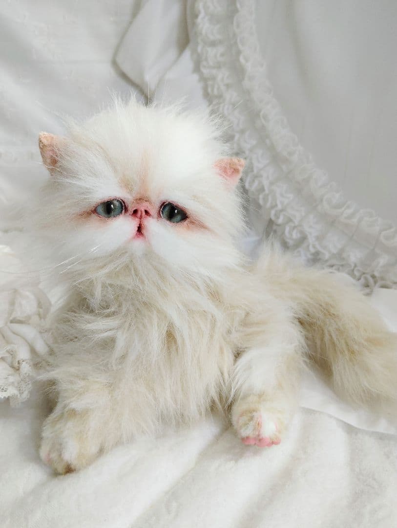 Milky様御予約❤️生後3ヶ月♡綺麗なお顔の♡子猫ちゃん♡アートドール♡