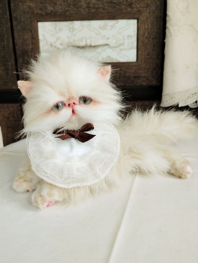 Milky様御予約❤️生後3ヶ月♡綺麗なお顔の♡子猫ちゃん♡アートドール♡