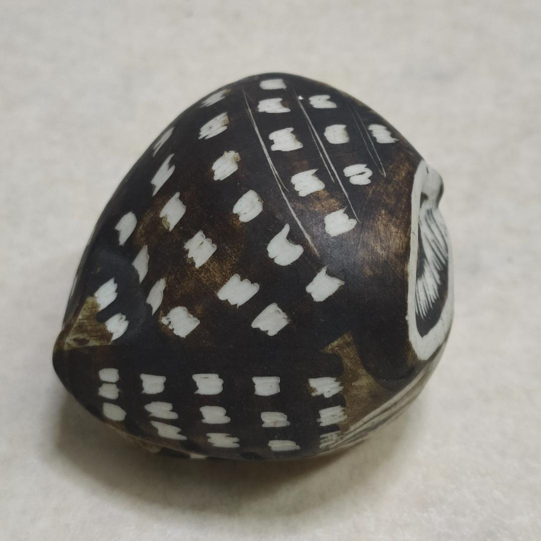 Gustevsberg フクロウ 3点セット エドヴァルド・リンダール