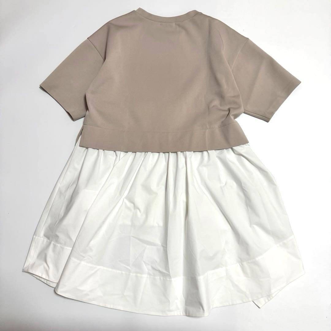 未使用に近い　LE PHIL （ル フィル）　エクレ別注　コンビカットソー