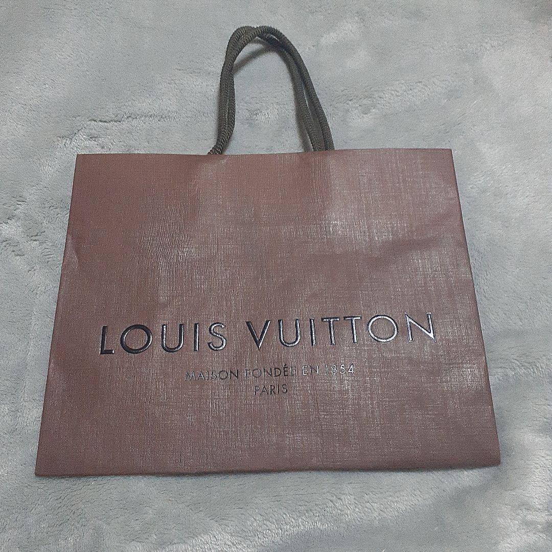 [最終価格]!ルイヴィトン タイガポルトモネキュベットケース[美品]