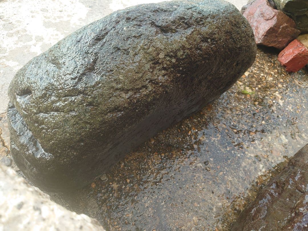 青石 庭石 約120kg 鑑賞石 坪庭 天然石 庭園