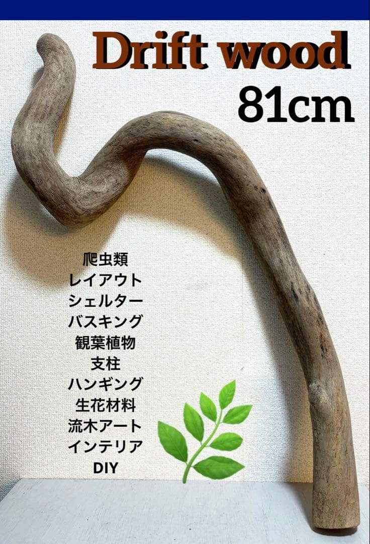 Ｇ79 灰汁抜き処理済　流木　爬虫類　両生類シェルター　観葉植物　インテリア
