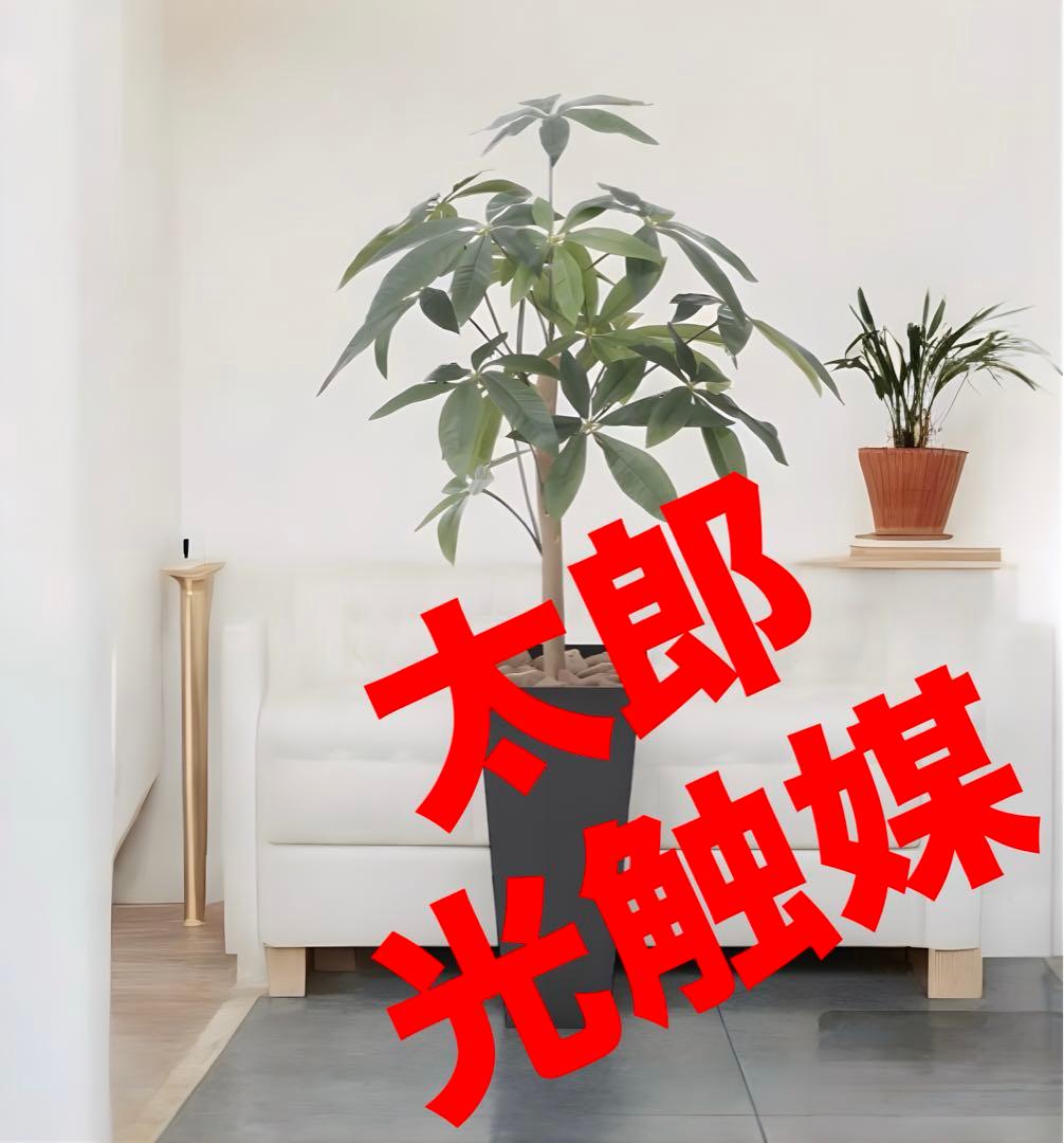 光触媒　人工観葉植物　ウォールグリーン　フェイクグリーン　スリムパキラ1.0