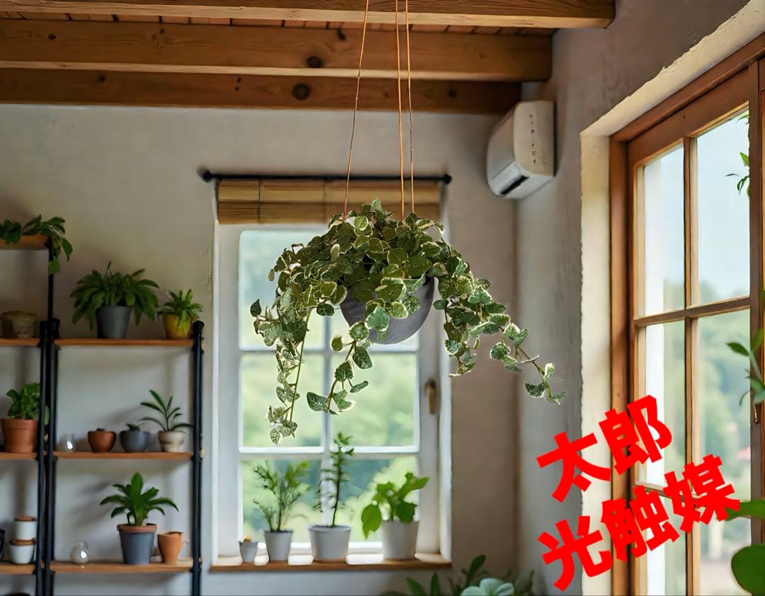 光触媒　人工観葉植物　ウォールグリーン　フェイクグリーン　プミラハンギング