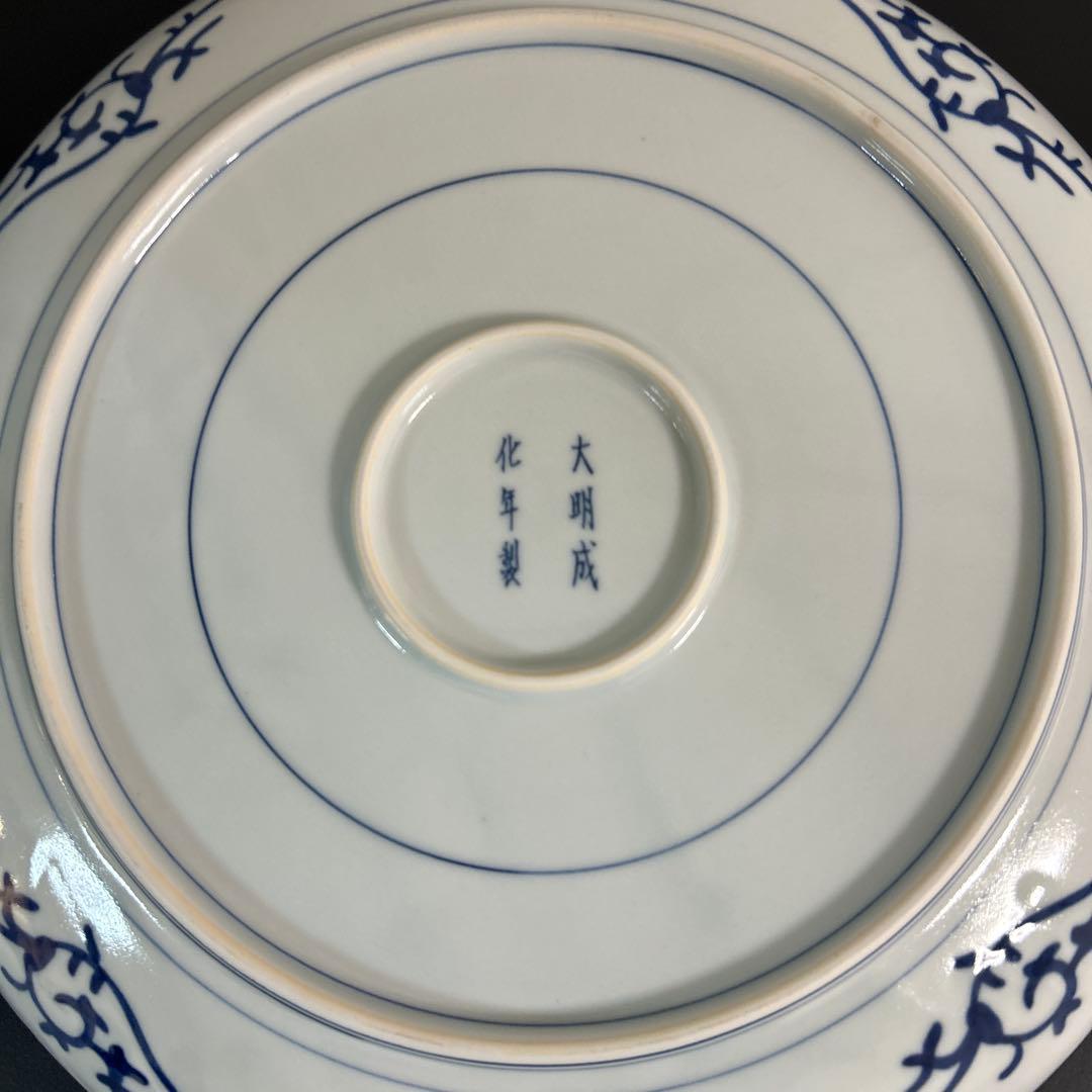 蛸唐草　伊万里　古伊万里　染付　大皿　大明成化年製