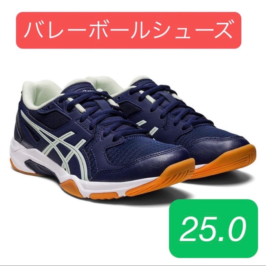 25.0 [アシックス] バレーボールシューズ GEL-ROCKET 10