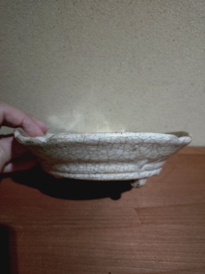 絵志野 蛇籠 草花紋 向付