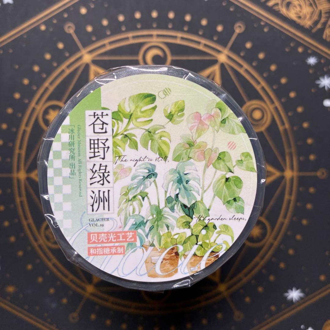 【9467】海外　マステ　3/5/巻　貝殻光マスキングテープ　植物　緑　装飾系