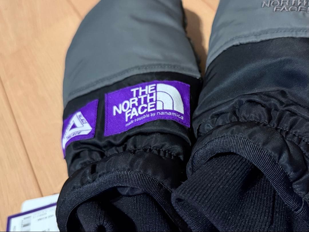 PALACE パレス NORTH FACE FIELD DOWN GLOVE