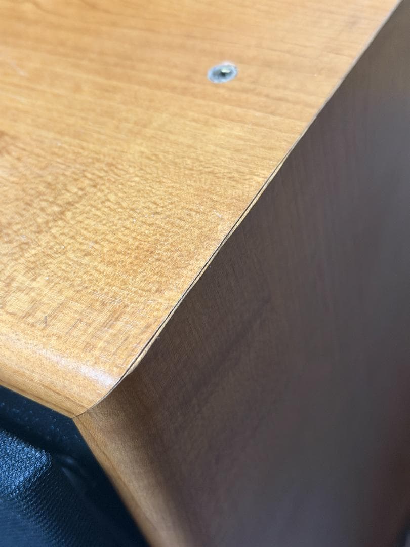 DIATONE スピーカー DS-200ZX 美品